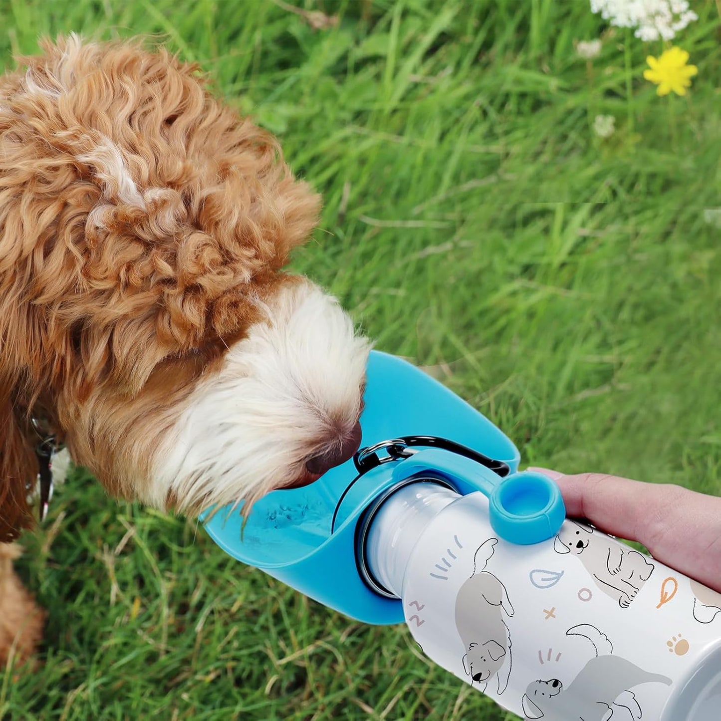 Pet Water Bottle