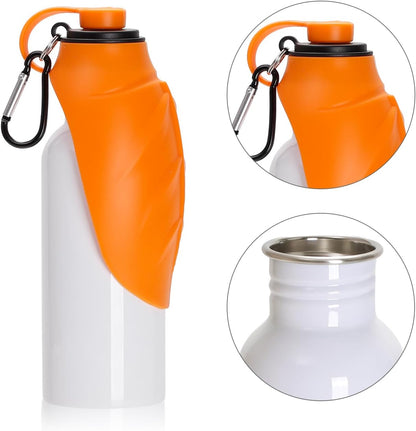 Pet Water Bottle